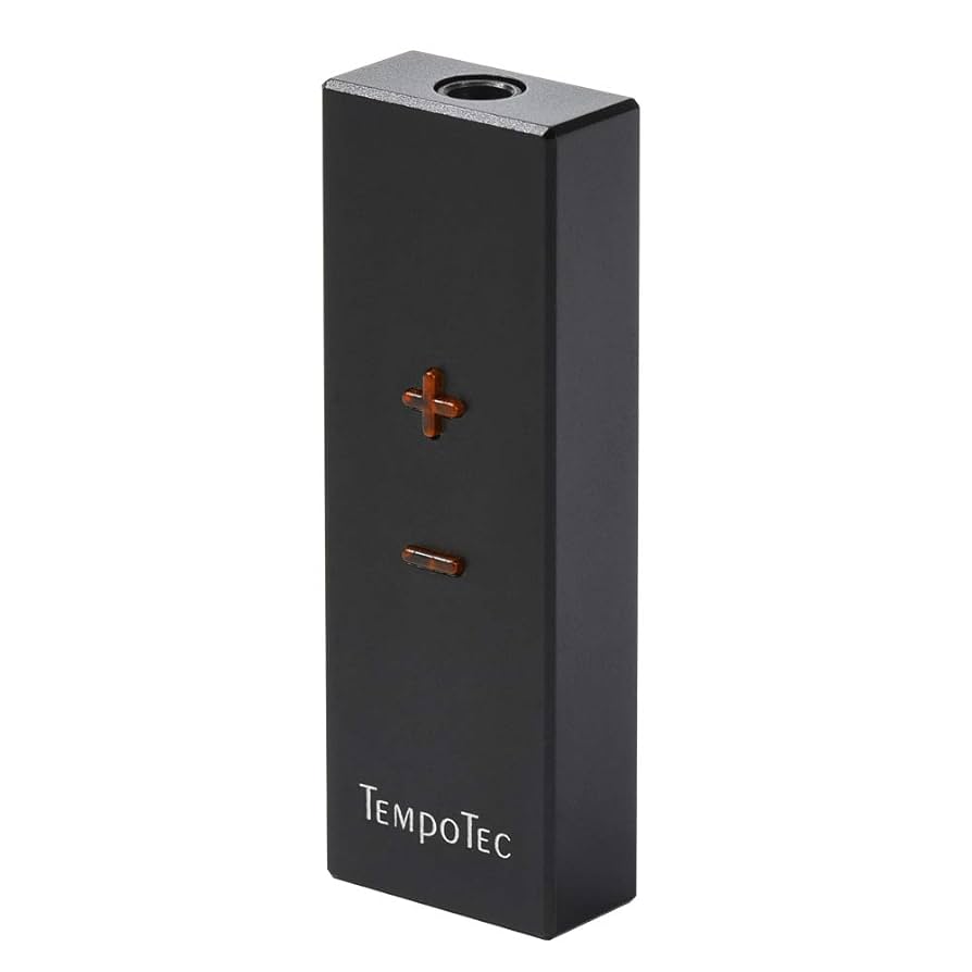 TEMPOTEC V1 デジタルオーディオプレイヤー＋ヘッドホンアンプ 未開封品 Variations V1 EZHiFi&TempoTec HiFI music player, digital